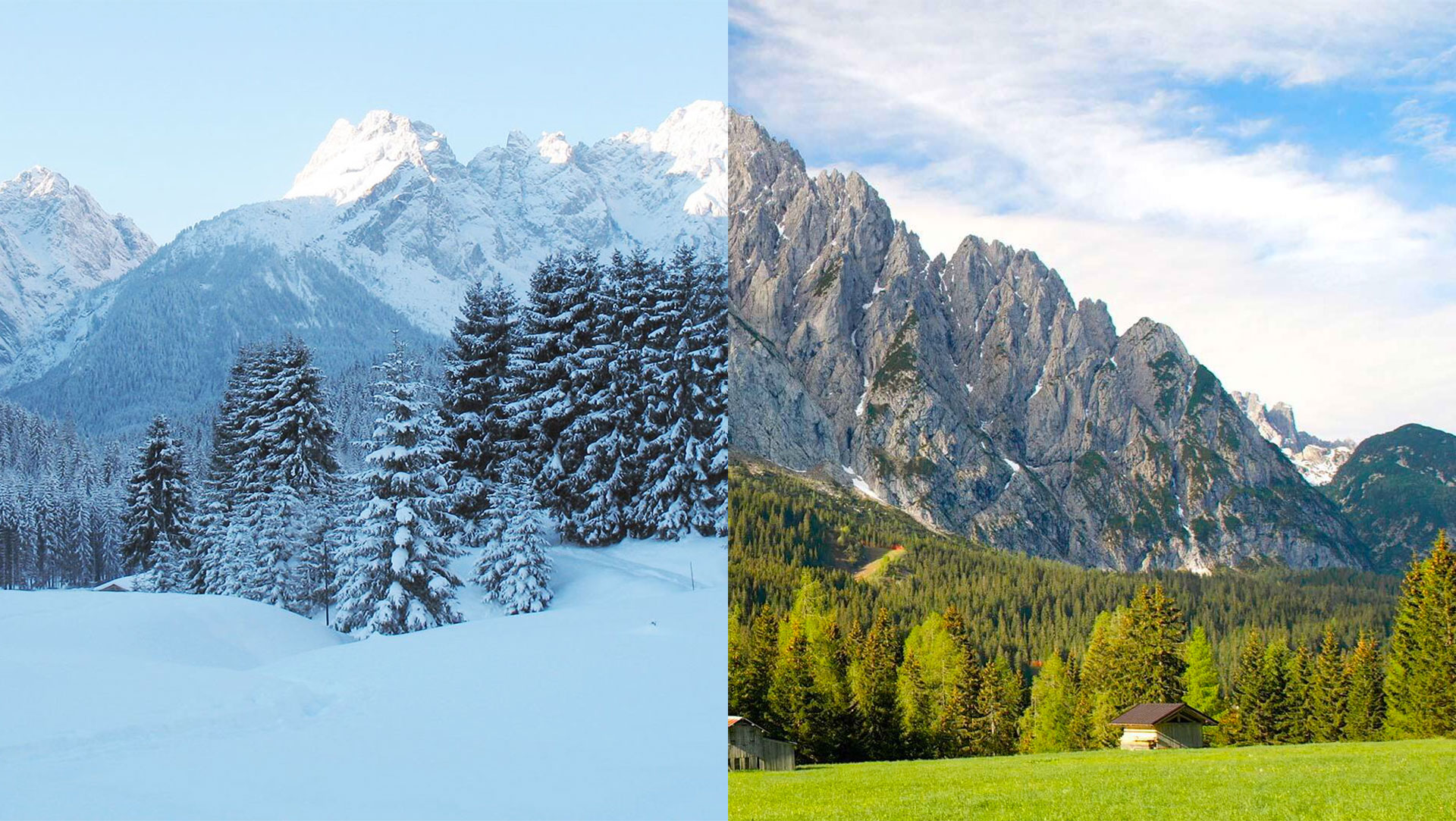 Albergo Cavallino Sappada Appartamenti Estate Inverno