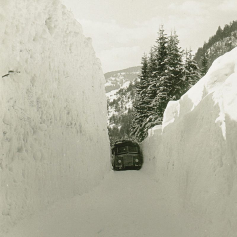 foto-storiche-cavallino3